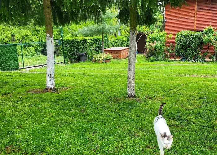 Vikendica Garfild Sa Bazenom I Saunom